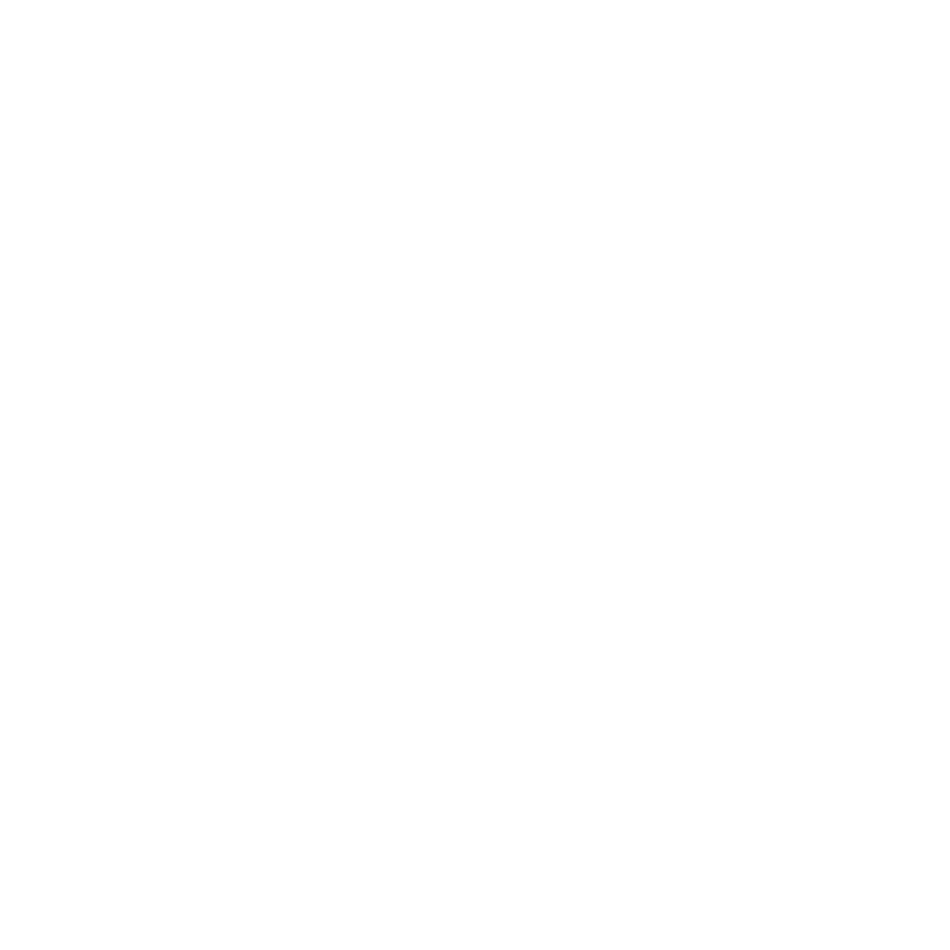 Wels Gallery